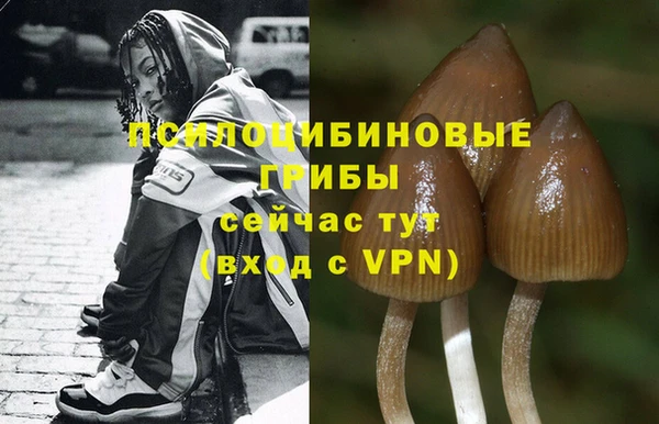 соль курить ск Арсеньев