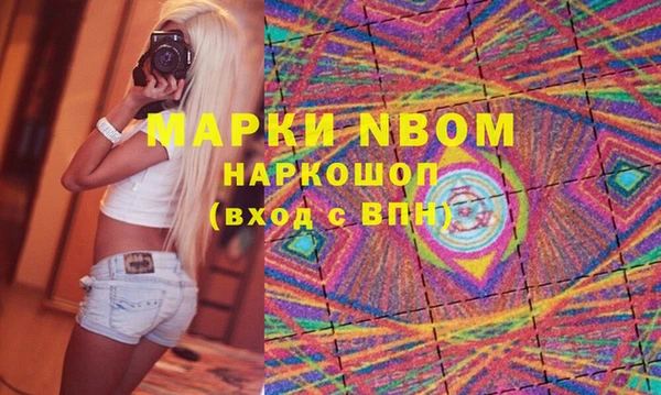 стаф Аркадак