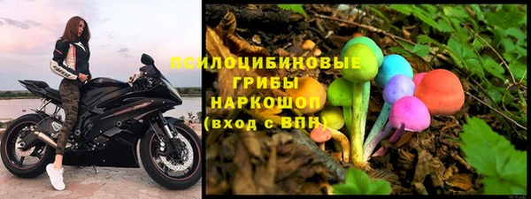 героин Тавда