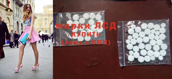 дмт Тайга